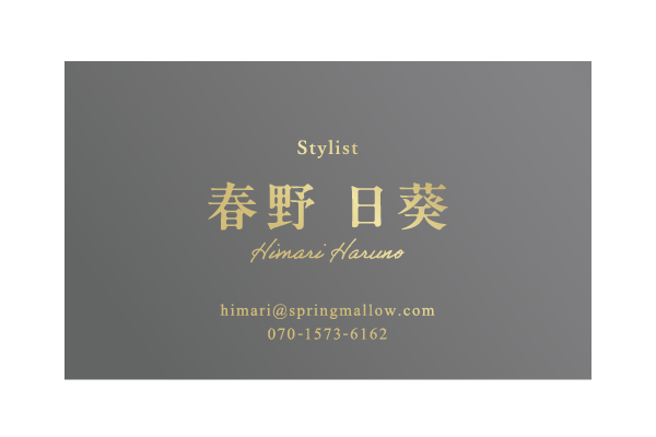 	キュリアスメタル220kg ダークグレー	