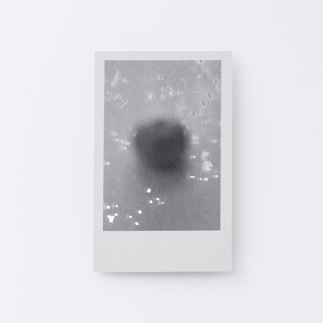 紙│カラープラン アッシュグレー<br>加工│片面モノクロ印刷・メタリック銀箔