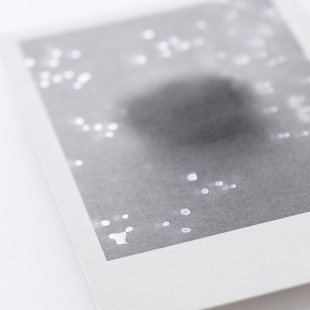 フォトグラファーの名刺